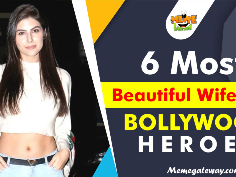 6 Most Beautiful Wife's Of Bollywood Heroes