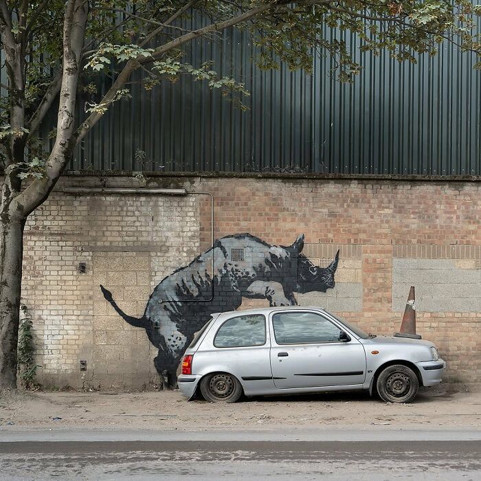 Banksy's Graffiti at London Zoo: Iconic Street Art