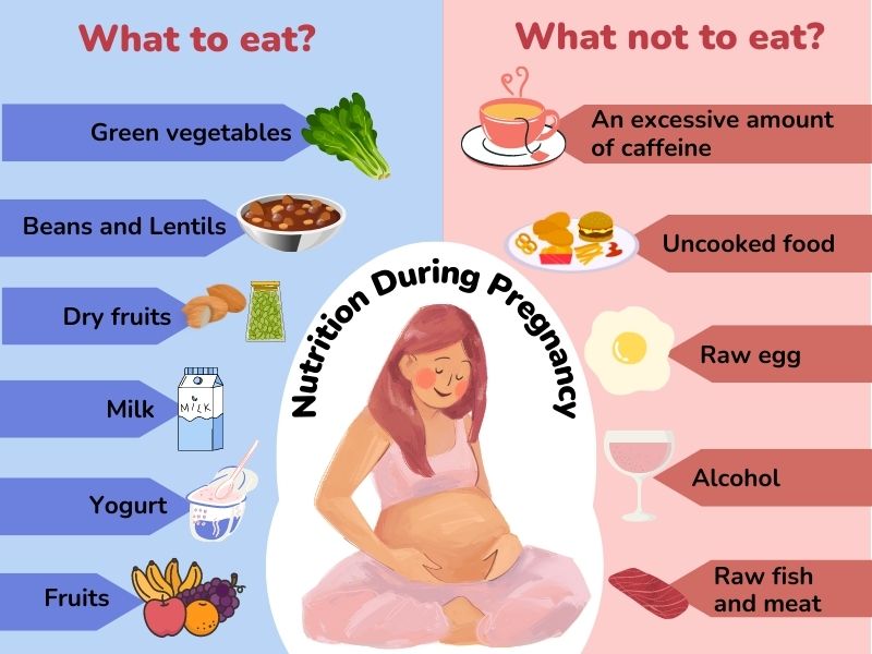 Essential Nutrients for Pregnancy: What You Need to Know